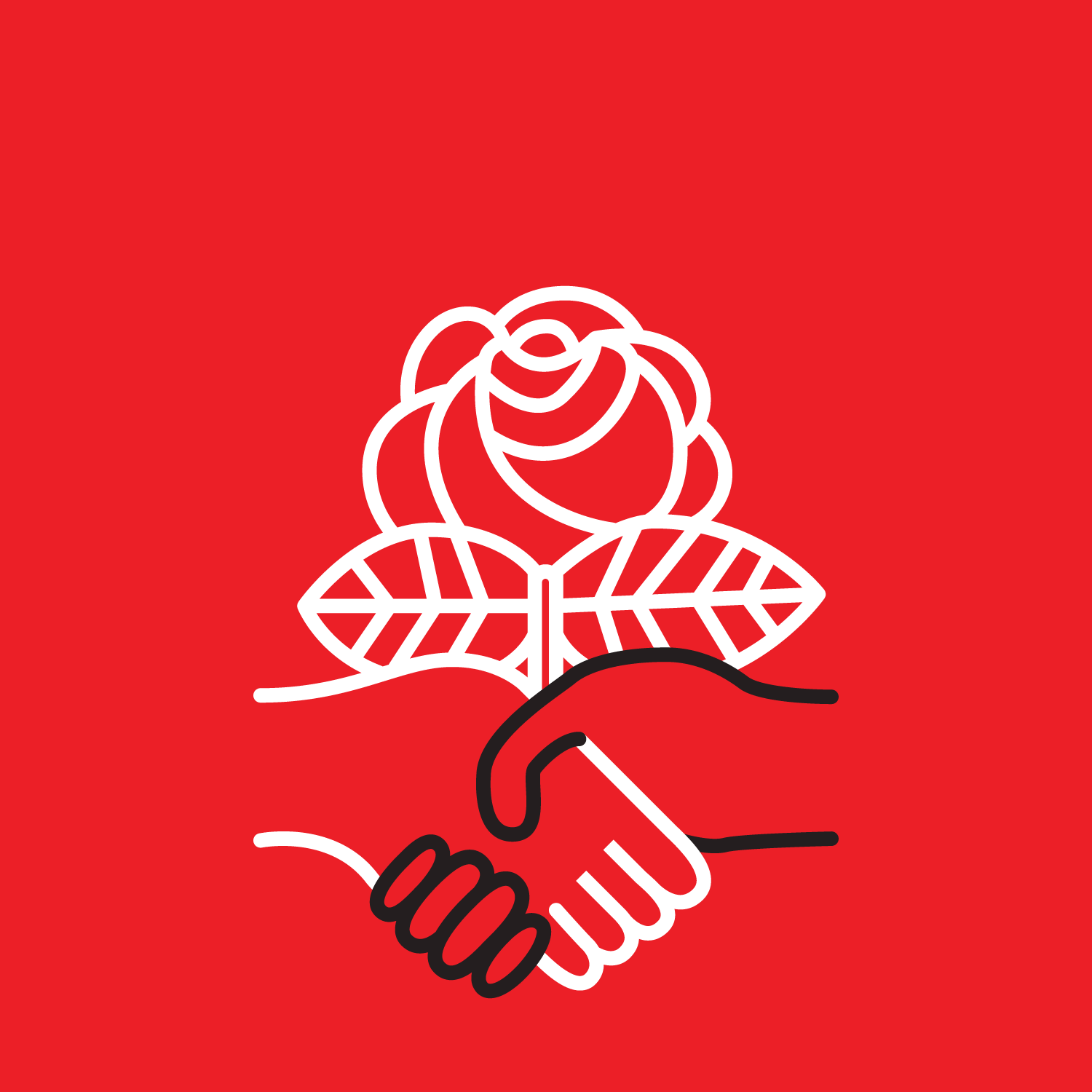 DSA logo showing a white and black hand grasping each other underneath a rose.